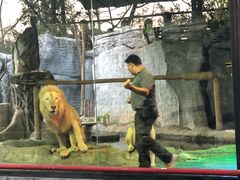 -清迈夜间动物园