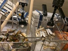 -杭州钱江新城万怡酒店-西餐厅