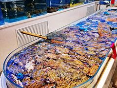 -北塘海鲜·天津菜(大光明桥旗舰店)
