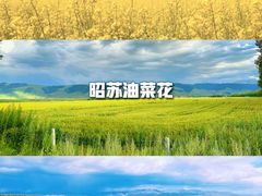 -赛里木湖风景名胜区