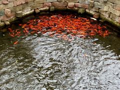-水磨沟公园