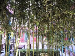 -北京和园国际青年客栈