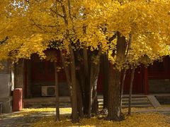 -承恩寺