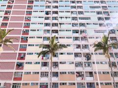 -彩虹村