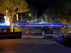 -三亚红色娘子军演艺公园景区