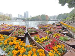 -荔湾湖公园
