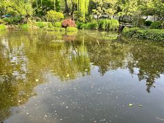 -秋霞圃
