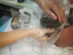 -纳吉亚猫专科动物医院博雅分院