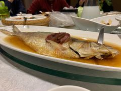 酒糟鲥鱼-走马楼饭庄(慈城古县城店)