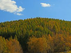 -塞罕坝国家级自然保护区