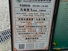 -西双版纳原始森林公园