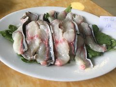 -金砂阿洲鱼册店