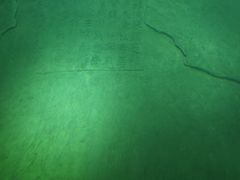 -白鹤梁水下博物馆