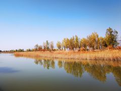 -野鸭湖国家湿地公园