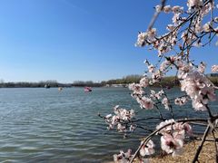 -大兴滨河森林公园