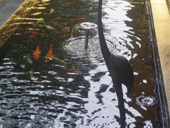 -T館·花园艺术餐厅