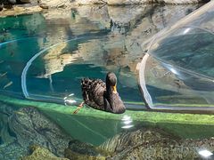 -上海海洋水族馆