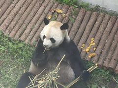 -御轩足道·SPA·养生·保健(瑞金北路店)