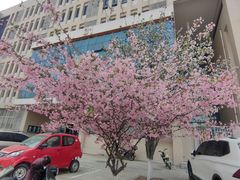 -河南工业大学(莲花街校区)