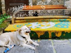 -黄兴南路步行商业街