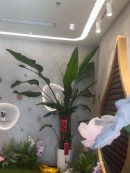 -dōTERRA多特瑞精油生活馆
