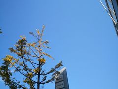 -中百仓储超市有限公司(越秀星汇维港店)