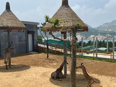 -西霞口神雕山野生动物世界