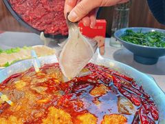 -渝大龙重庆火锅(温泉月亮湾店)