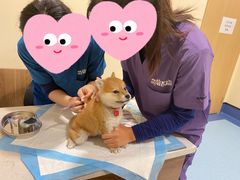 -萌兽医馆·犬猫专科·眼科中心·宠物医院(朝阳门分院)