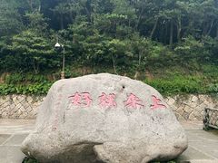 -普陀山风景区-佛顶山