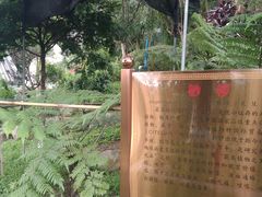 -广州神农草堂中医药博物馆