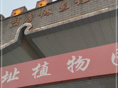 -洛阳市隋唐城遗址植物园