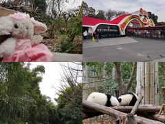 -成都大熊猫繁育研究基地