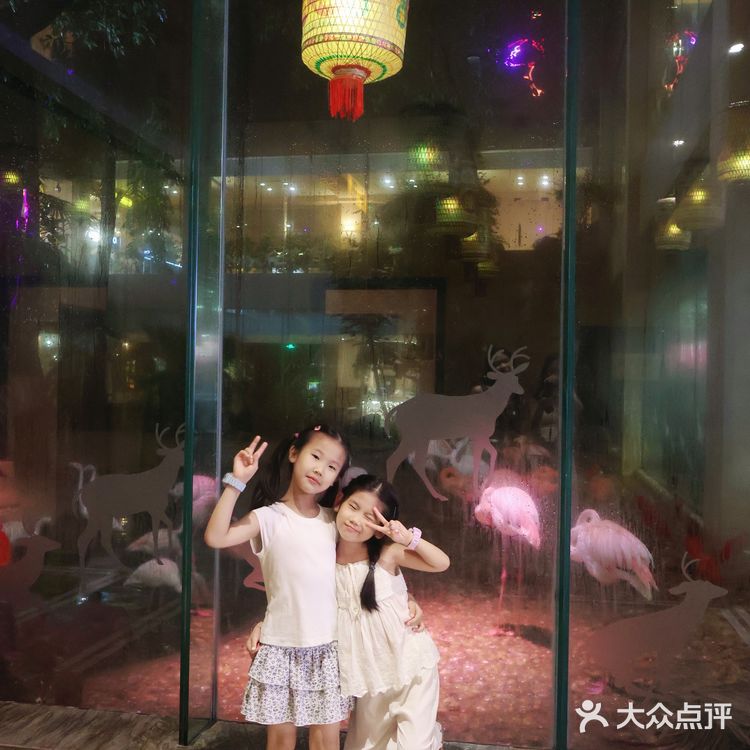 广州🐯娃在长隆白虎餐厅跟老虎用餐又幸福了