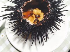 海胆-原味蒸汽海鲜(嵊泗店)
