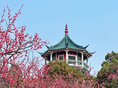 -无锡梅园公园