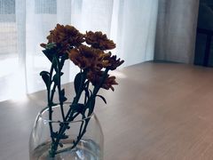 -boundaries籬苑(瑞光创意工厂-贰号院店)