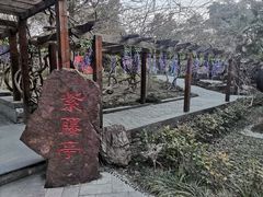 -黄桥古镇