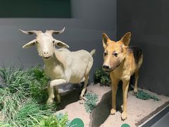 -武汉园博园(武汉自然博物馆)