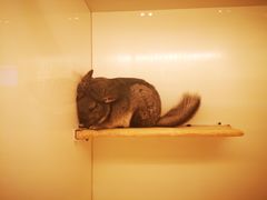 -龙猫仔乐园(惠福东路店)