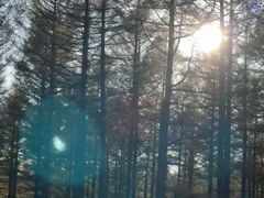 -塞罕坝国家级自然保护区