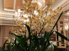 大堂-福楼法餐厅FLO