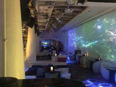 -CLUB VIVA(购物公园店)