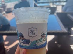 -招商蛇口邮轮母港(观光客运)