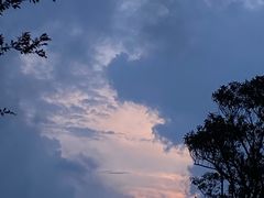 -江南天池