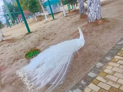 -鄱阳湖国家湿地公园