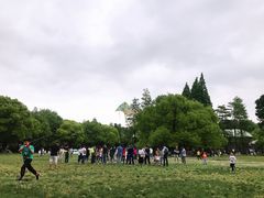 游乐设施-上海共青森林公园
