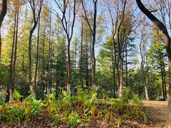 -艾溪湖湿地公园