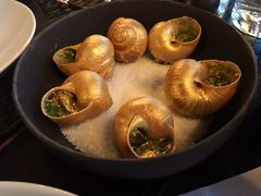 -金蜗牛