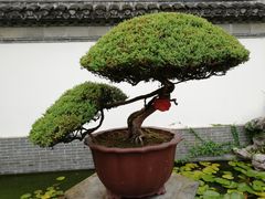 -水绘园